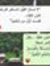 شروق صآفي