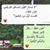 شروق صآفي
