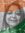Jyotsna...
