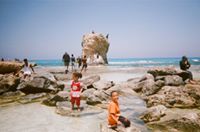 محمود الخياط