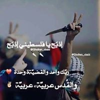 Mohamed Omar