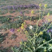 عبدالاله عبدالمحسن