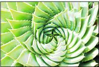 Gabrielle Austerberry