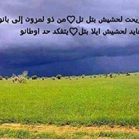 المبدع المبدع