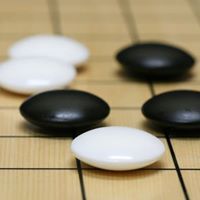 Yang Ni