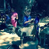 Cassandra Stiles Rust