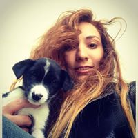 Tuğçe Demircioğlu