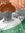 Sayor Bose