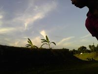 আহমেদ রকিব