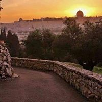 ياسمينا ابراهيم