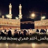 وائل عبد الكريم