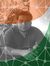 Sushant...
