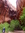 Nicholas Dummer (nicholas_dummer) | 1 comments