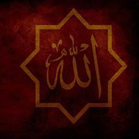 Mohammed Hamam