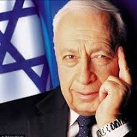 مراد ابراهيم