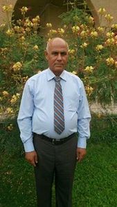 سلطان شيبان