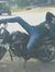 Nitesh ...