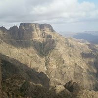 محمد المحمدي