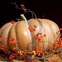 Becky Donley