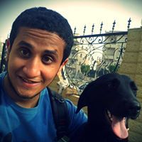 Alaa Sayed