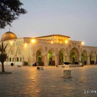 ابراهيم الهلالى