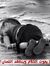 Nizar C...