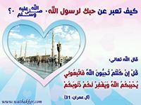 صفاء الشلاح