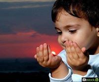 வைக்கல் போர்