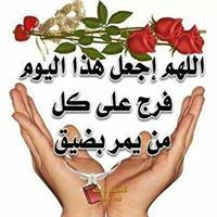 محمد الشوايكة