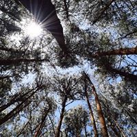 मनीष मक्कड़