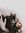 Cate