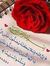 Samah S...
