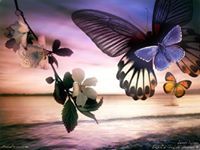 أمنية الحياه