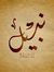 Nabil H...