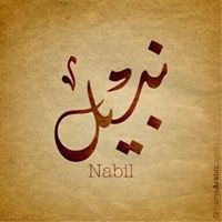 Nabil Hussain