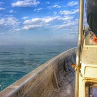 حسين العيثان