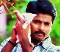 Thenn Vily
