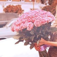 صمت الليالي