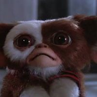 Vitor De Moraes