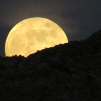 حسين العمري