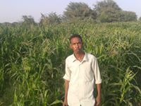 مجتبى الفادني