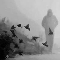 محمد آل مسعود