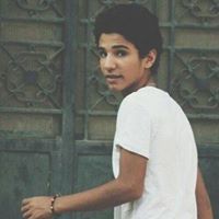 Mahmoud R. Elashry