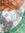 Bhavan ...