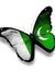 Israr C...