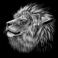 Srinidhi Narasimha Murthy