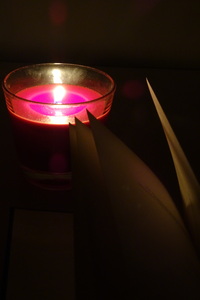 Michaela Jelínková