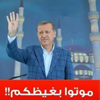 عوض عبد المولى