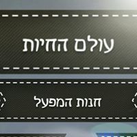 עולם החיות