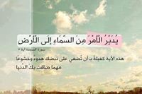 ahmed bik